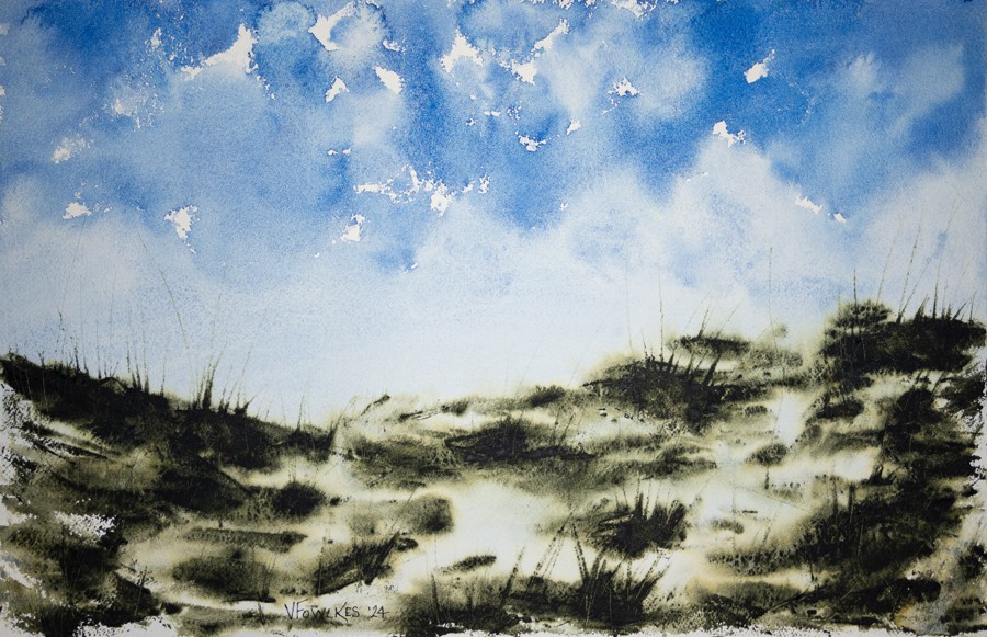 Behind the Grassy Dunes VI