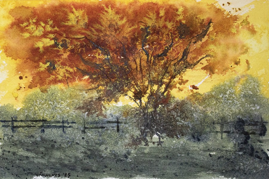 SkyFire I