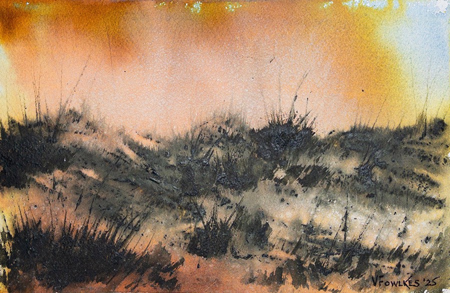 Dunes in Pink