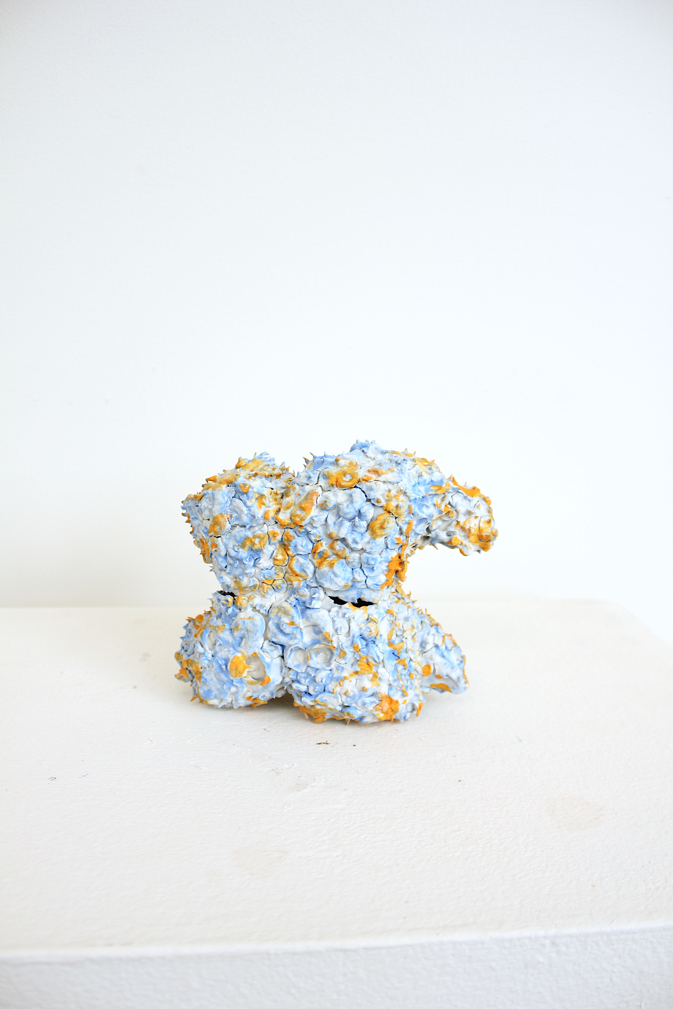 Diatom Test Specimen 08