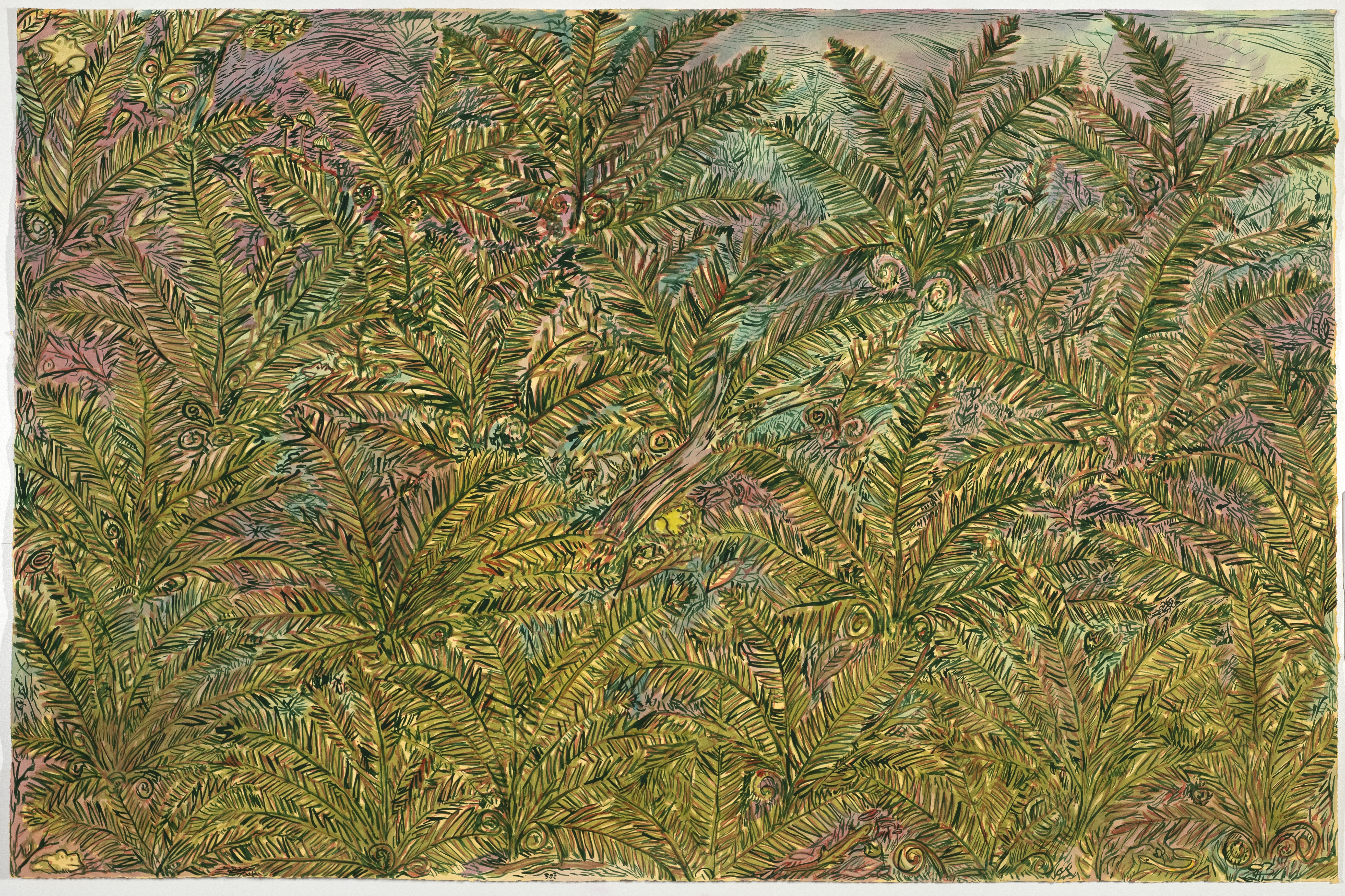 Ferns 2(Yellow Frog)